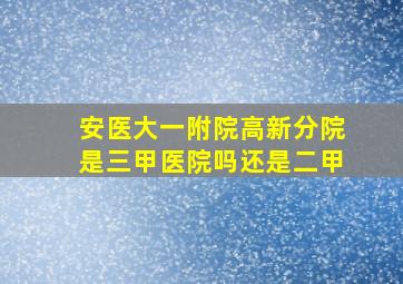 安医大一附院高新分院是三甲医院吗还是二甲