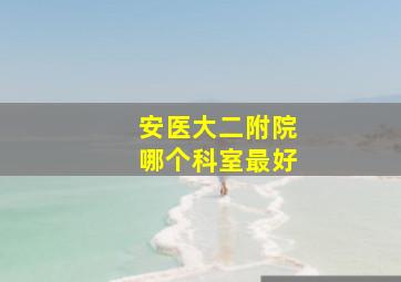 安医大二附院哪个科室最好