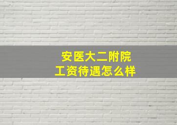 安医大二附院工资待遇怎么样