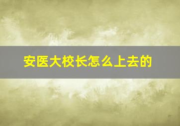 安医大校长怎么上去的