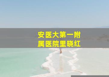 安医大第一附属医院里晓红