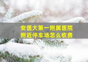 安医大第一附属医院附近停车场怎么收费