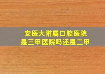 安医大附属口腔医院是三甲医院吗还是二甲