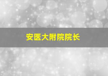 安医大附院院长