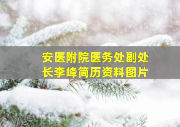 安医附院医务处副处长李峰简历资料图片