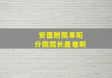 安医附院阜阳分院院长是谁啊