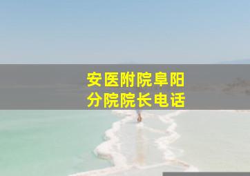 安医附院阜阳分院院长电话