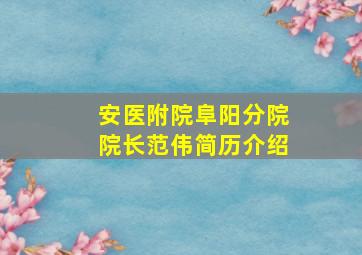 安医附院阜阳分院院长范伟简历介绍