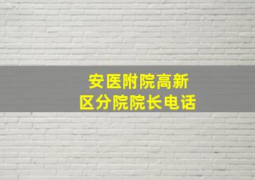 安医附院高新区分院院长电话