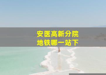 安医高新分院地铁哪一站下