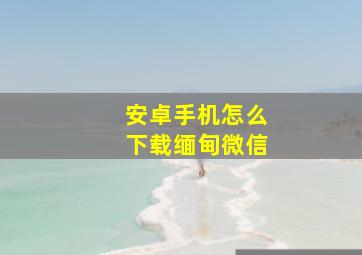 安卓手机怎么下载缅甸微信