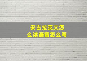 安吉拉英文怎么读语音怎么写