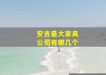 安吉最大家具公司有哪几个