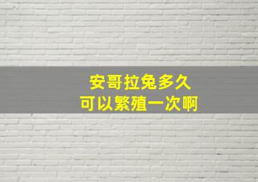 安哥拉兔多久可以繁殖一次啊