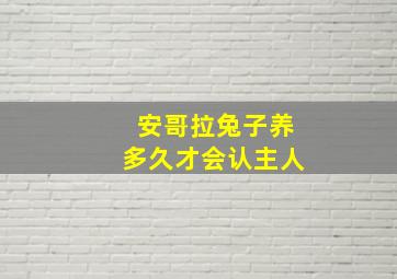 安哥拉兔子养多久才会认主人