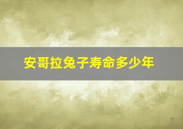 安哥拉兔子寿命多少年