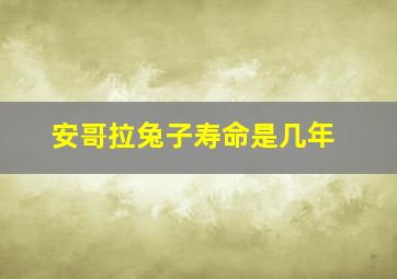 安哥拉兔子寿命是几年