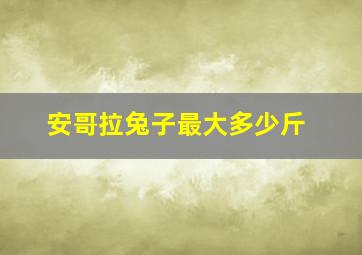 安哥拉兔子最大多少斤