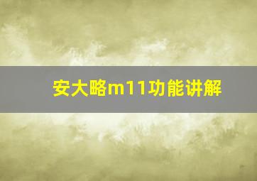 安大略m11功能讲解