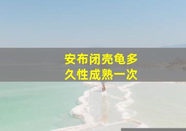 安布闭壳龟多久性成熟一次