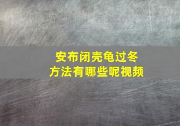 安布闭壳龟过冬方法有哪些呢视频