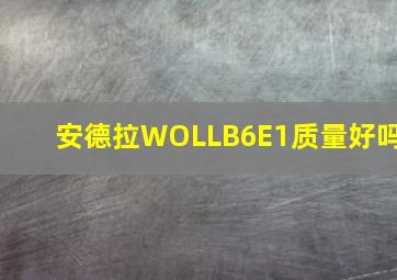 安德拉WOLLB6E1质量好吗