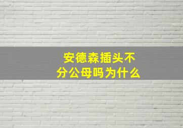 安德森插头不分公母吗为什么