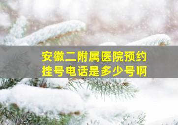 安徽二附属医院预约挂号电话是多少号啊