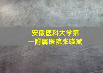 安徽医科大学第一附属医院张晓斌