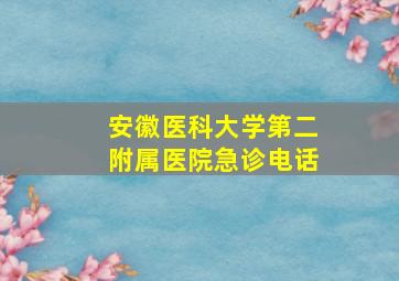 安徽医科大学第二附属医院急诊电话