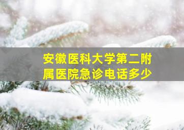 安徽医科大学第二附属医院急诊电话多少