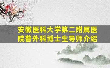 安徽医科大学第二附属医院普外科博士生导师介绍