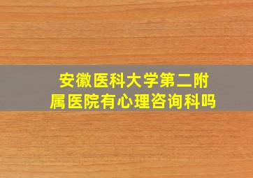 安徽医科大学第二附属医院有心理咨询科吗