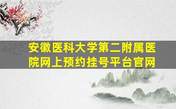 安徽医科大学第二附属医院网上预约挂号平台官网