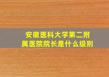 安徽医科大学第二附属医院院长是什么级别