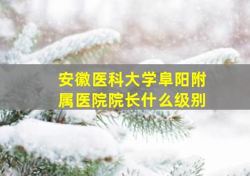 安徽医科大学阜阳附属医院院长什么级别