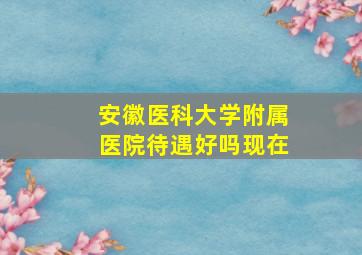 安徽医科大学附属医院待遇好吗现在