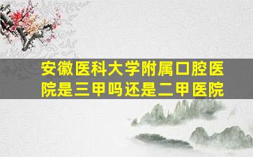 安徽医科大学附属口腔医院是三甲吗还是二甲医院