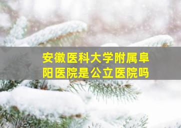 安徽医科大学附属阜阳医院是公立医院吗