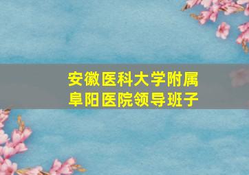 安徽医科大学附属阜阳医院领导班子