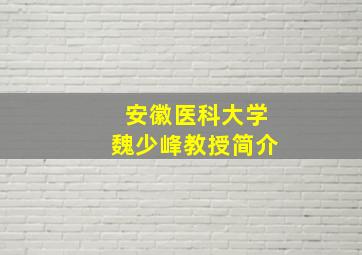 安徽医科大学魏少峰教授简介