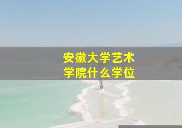 安徽大学艺术学院什么学位