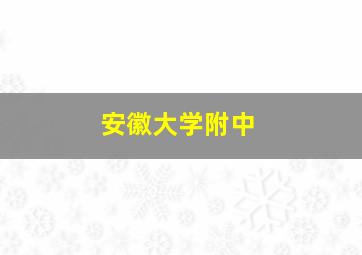 安徽大学附中