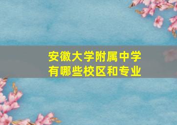 安徽大学附属中学有哪些校区和专业