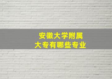 安徽大学附属大专有哪些专业