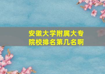 安徽大学附属大专院校排名第几名啊