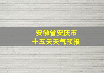 安徽省安庆市十五天天气预报