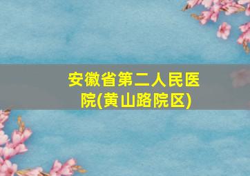 安徽省第二人民医院(黄山路院区)