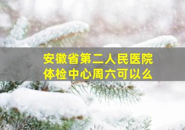 安徽省第二人民医院体检中心周六可以么