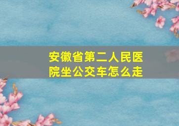 安徽省第二人民医院坐公交车怎么走